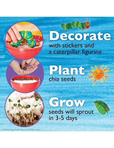 Kit de Terrario Creatividad para Niños El Muy Hambriento Oruga