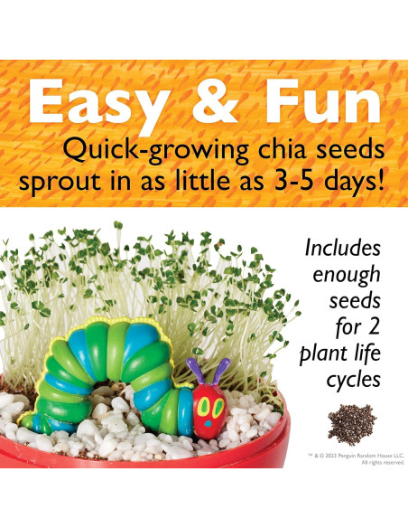 Kit de Terrario Creatividad para Niños El Muy Hambriento Oruga