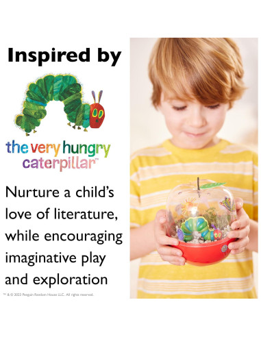 Kit de Terrario Creatividad para Niños El Muy Hambriento Oruga