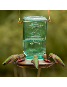 Alimentador de Colibríes More Birds Tarro de Conserva 740ml 2