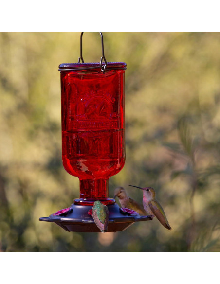 Alimentador de Colibríes More Birds Elixir 385ml Vidrio Vintage