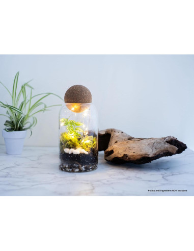 Frasco de Terrario de Vidrio 800ml KraftStories con Tapa de Madera