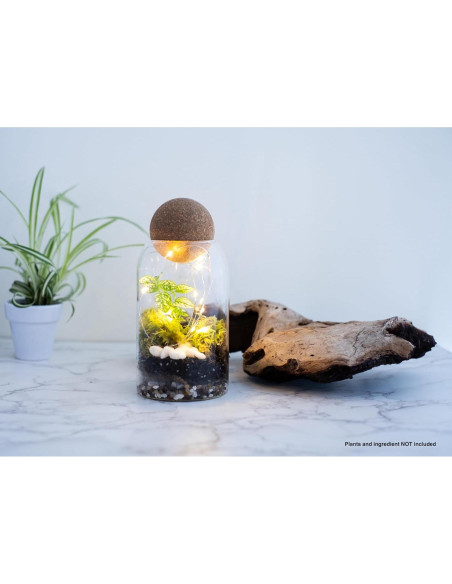 Frasco de Terrario de Vidrio 800ml KraftStories con Tapa de Madera