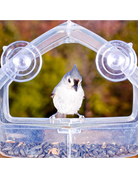 Ventosas de Repuesto para Alimentador de Aves DaoHeight - Paquete de 5
