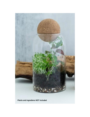 Frasco de Terrario de Vidrio 800ml KraftStories con Tapa de Madera