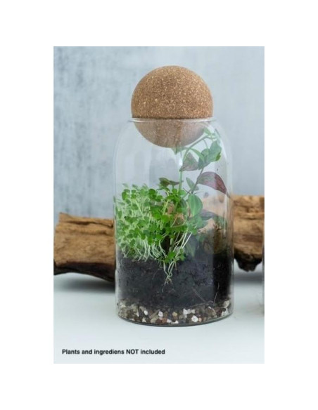 Frasco de Terrario de Vidrio 800ml KraftStories con Tapa de Madera