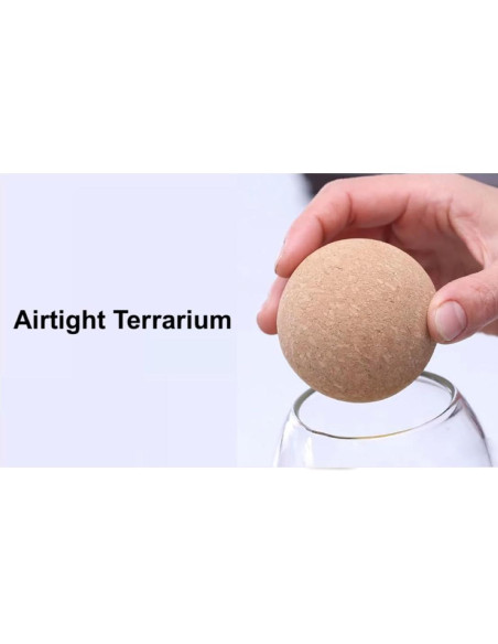 Frasco de Terrario de Vidrio 800ml KraftStories con Tapa de Madera