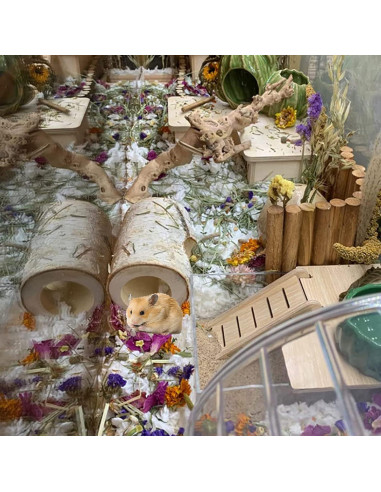 Túnel de Madera Natural para Hámster MUYG - 10 Pcs, 12 cm