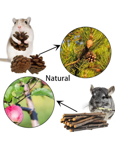 Túnel de Madera Natural para Hámster MUYG - 10 Pcs, 12 cm