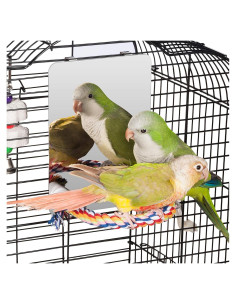 Espejo para Aves Colorday 13x18 cm con Percha de Cuerda