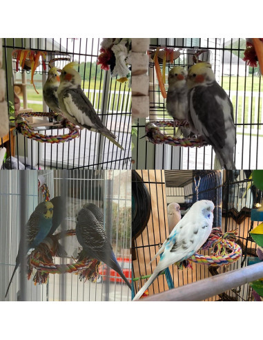 Espejo para Aves Colorday 13x18 cm con Percha de Cuerda