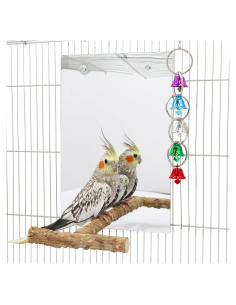 Juguete de Espejo Grande para Aves Oooct 30x20cm con Campana