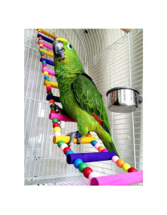 Juguete de Escalera para Aves Litewood 60 cm Colorido