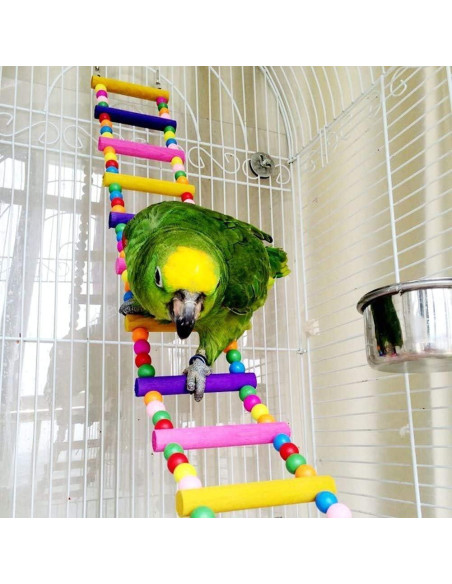 Juguete de Escalera para Aves Litewood 60 cm Colorido