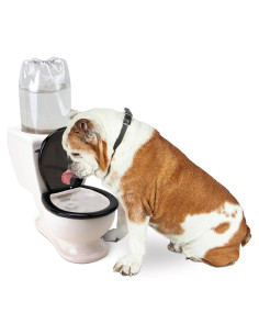 Plato de Agua para Mascotas BigMouth Inc Cerámica 2L