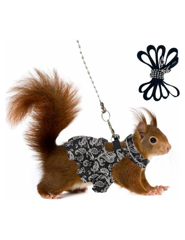 Arnés y Correa Ajustable HOKABLE para Mascotas Pequeñas S