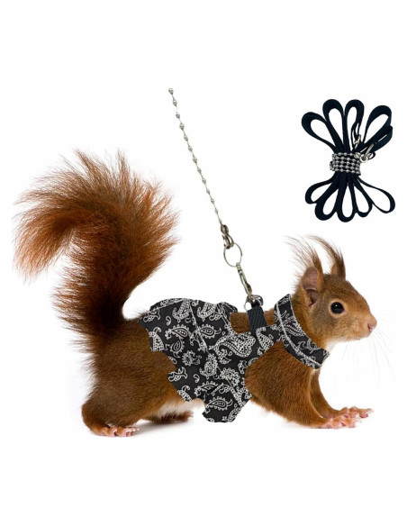 Arnés y Correa Ajustable HOKABLE para Mascotas Pequeñas S