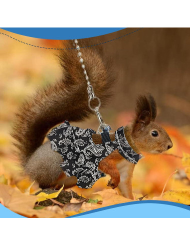 Arnés y Correa Ajustable HOKABLE para Mascotas Pequeñas S