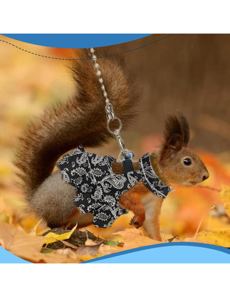 Arnés y Correa Ajustable HOKABLE para Mascotas Pequeñas S