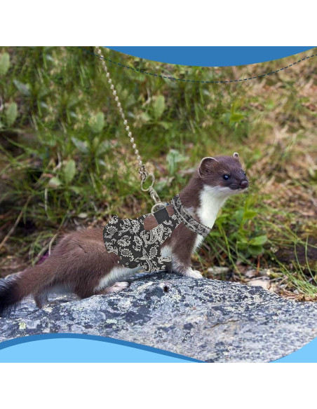 Arnés y Correa Ajustable HOKABLE para Mascotas Pequeñas S