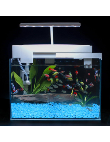 Piedras Luminosas Oubest 150PCS 2cm Multicolor para Jardín