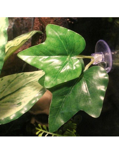 2 Almohadillas de Hoja Verde Tangseajiao para Acuario