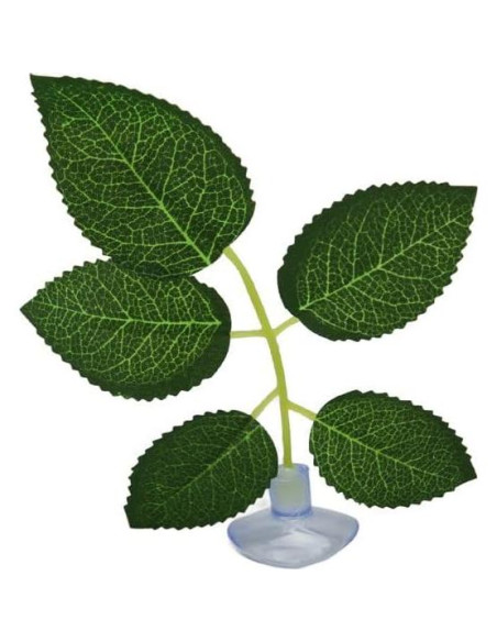 2 Almohadillas de Hoja Verde Tangseajiao para Acuario