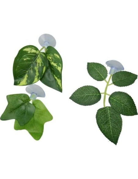 2 Almohadillas de Hoja Verde Tangseajiao para Acuario