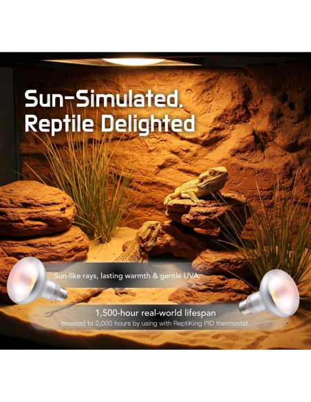 Lámpara de Calor ReptiKing 75W para Reptiles - Paquete de 2