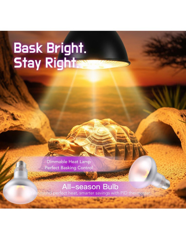 Lámpara de Calor ReptiKing 75W para Reptiles - Paquete de 2