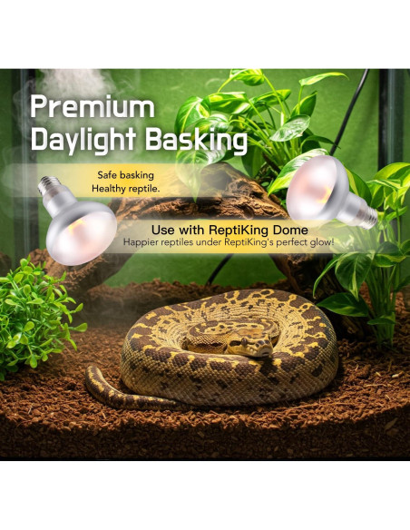 Lámpara de Calor ReptiKing 75W para Reptiles - Paquete de 2