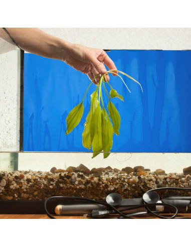 Fondo de Acuario Doble Cara Hemobllo 30x52 cm Azul Negro