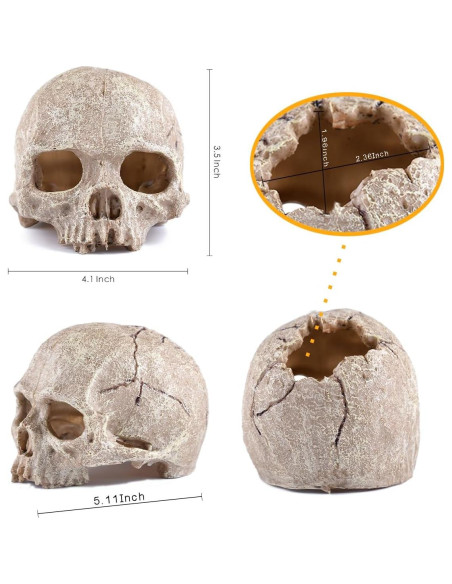 Luz LED USB Acuario Carefree Fish con Calavera y Piedra de Aire