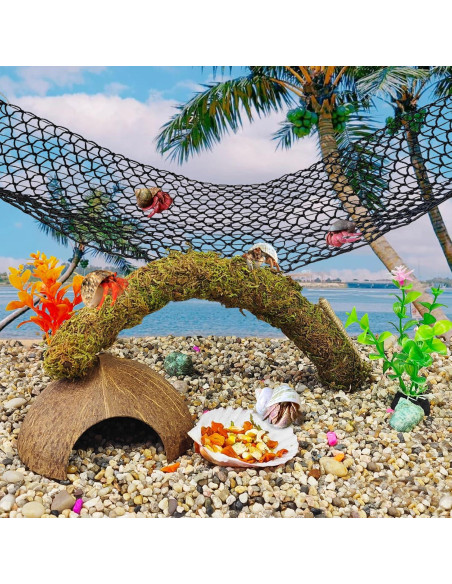 Accesorios para Cangrejo Ermitaño Hamiledyi 8PCS - Juguetes de Escalada y Escondite