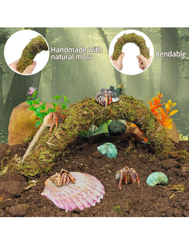 Accesorios para Cangrejo Ermitaño Hamiledyi 8PCS - Juguetes de Escalada y Escondite