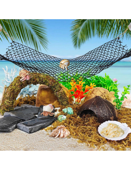 Accesorios para Cangrejo Ermitaño Hamiledyi 8PCS - Juguetes de Escalada y Escondite