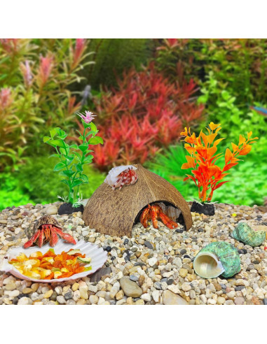 Accesorios para Cangrejo Ermitaño Hamiledyi 8PCS - Juguetes de Escalada y Escondite