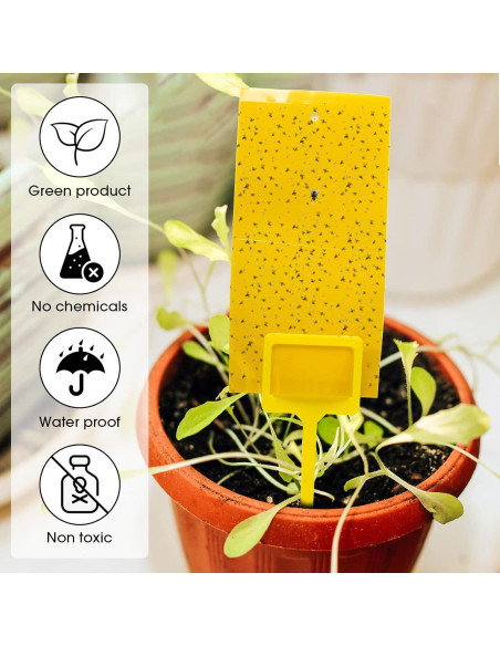 Trampas Adhesivas para Mosquitos Qualirey 220 Pcs Amarillo