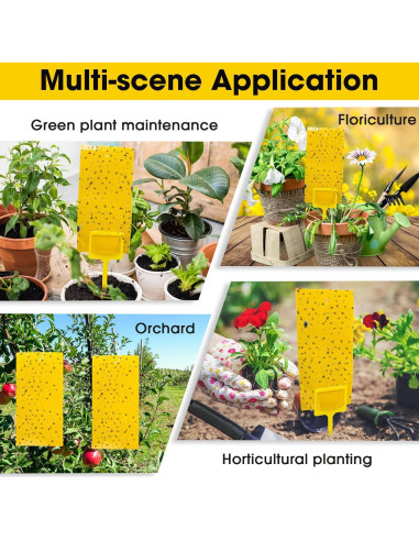 Trampas Adhesivas para Mosquitos Qualirey 220 Pcs Amarillo