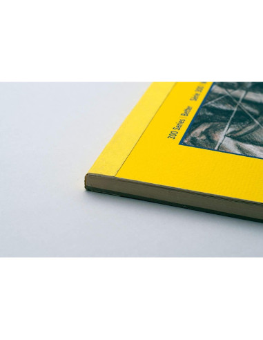 Bloc de Papel de Calco Strathmore 300 Series 50 Hojas 22.86x30.48 cm