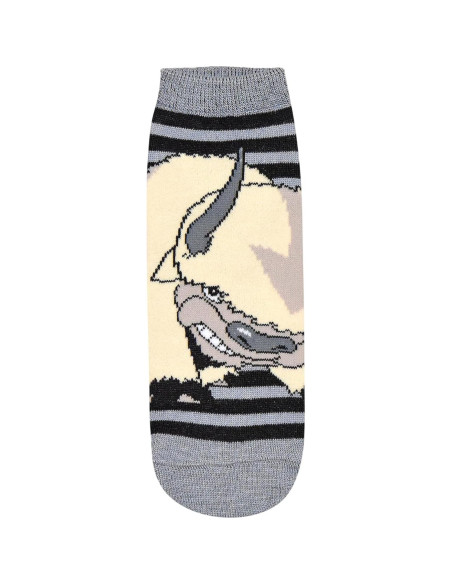 Calcetines Cortos Avatar Aang Appa 5 Pares Jóvenes/Mujeres