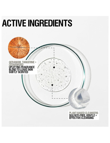 Set de Limpiador Corporal Revive Grown Alchemist 500 mL + Recarga 1L