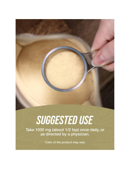 Polvo de Extracto de Champiñón Shiitake BulkSupplements 1kg - Vegano