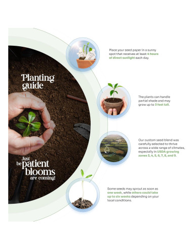 Juego de 6 Papeles Semilla Body Verde con Macetas Naranjas