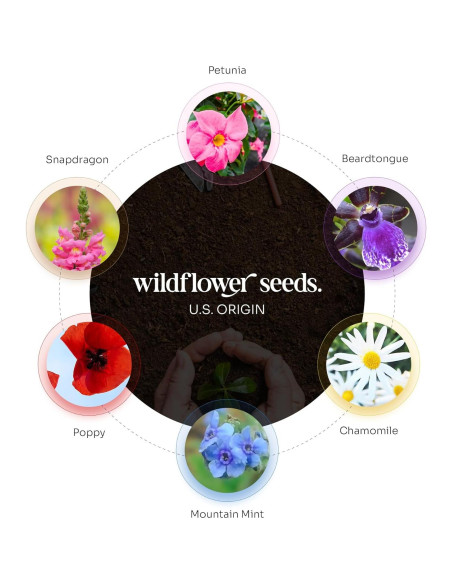 Juego de 6 Papeles Semilla Body Verde con Macetas Naranjas