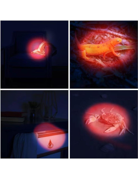 Paquete de 6 Linternas LED Rojas RaySoar para Observación Nocturna