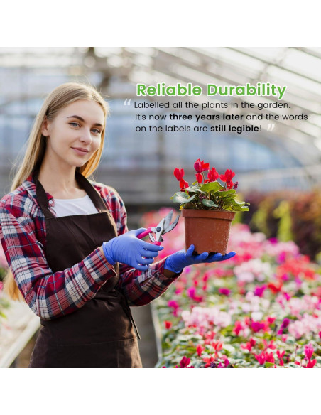 Paquete de 30 cintas etiquetadoras Womiten TZe-231 12mm