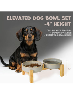 Juego de Cuencos Elevados para Perros Pequeños YOBRO 6.1 cm 2