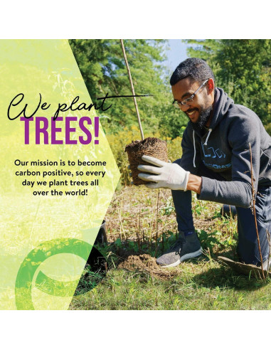 Cepillos de Dientes de Bambú EcoSlurps - 12 Adultos Multicolor