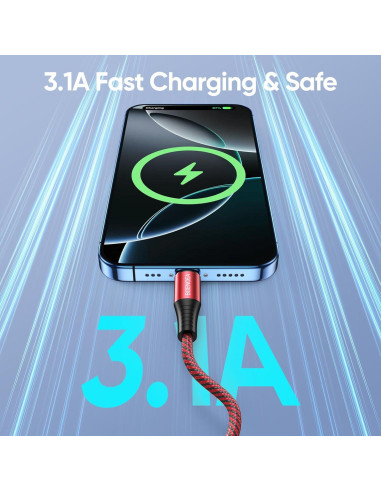 Cable USB C Boenoea 3 m Carga Rápida 4 Piezas Multicolor